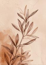 olive-branch_gallery_preview_3_A2.jpg