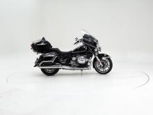 875305.jpg