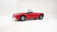 876513.jpg