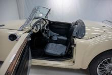 858516.jpg